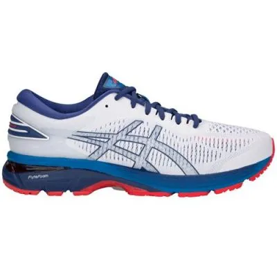 ASICS Gel Kayano 25