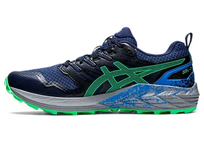 ASICS Gel Trabuco Terra  