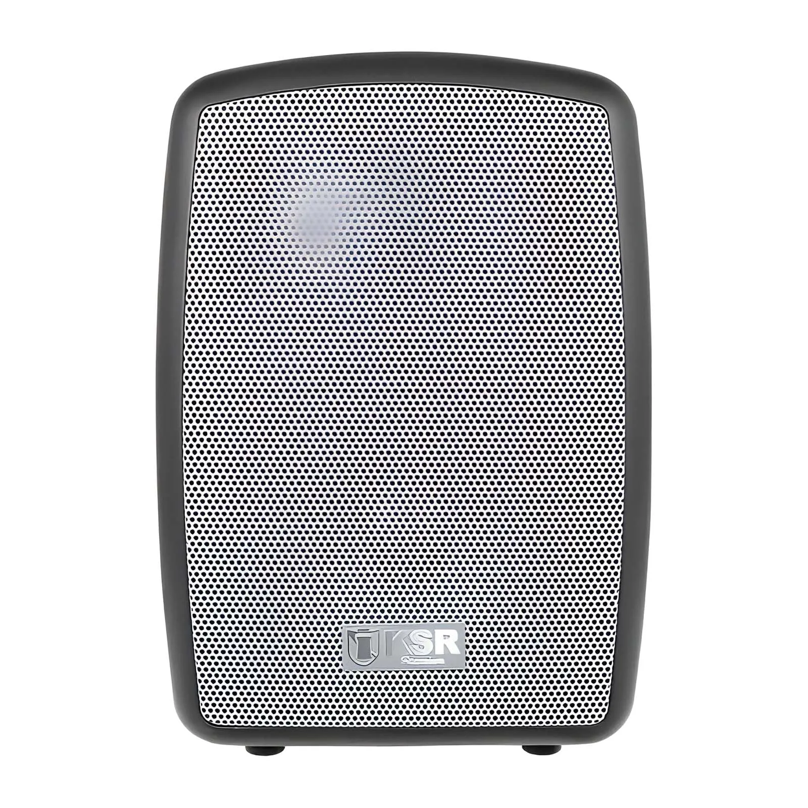 BAFLE PROFESIONAL RECARGABLE KSR 8 PULGADAS CON MICRóFONO MSA9908BT