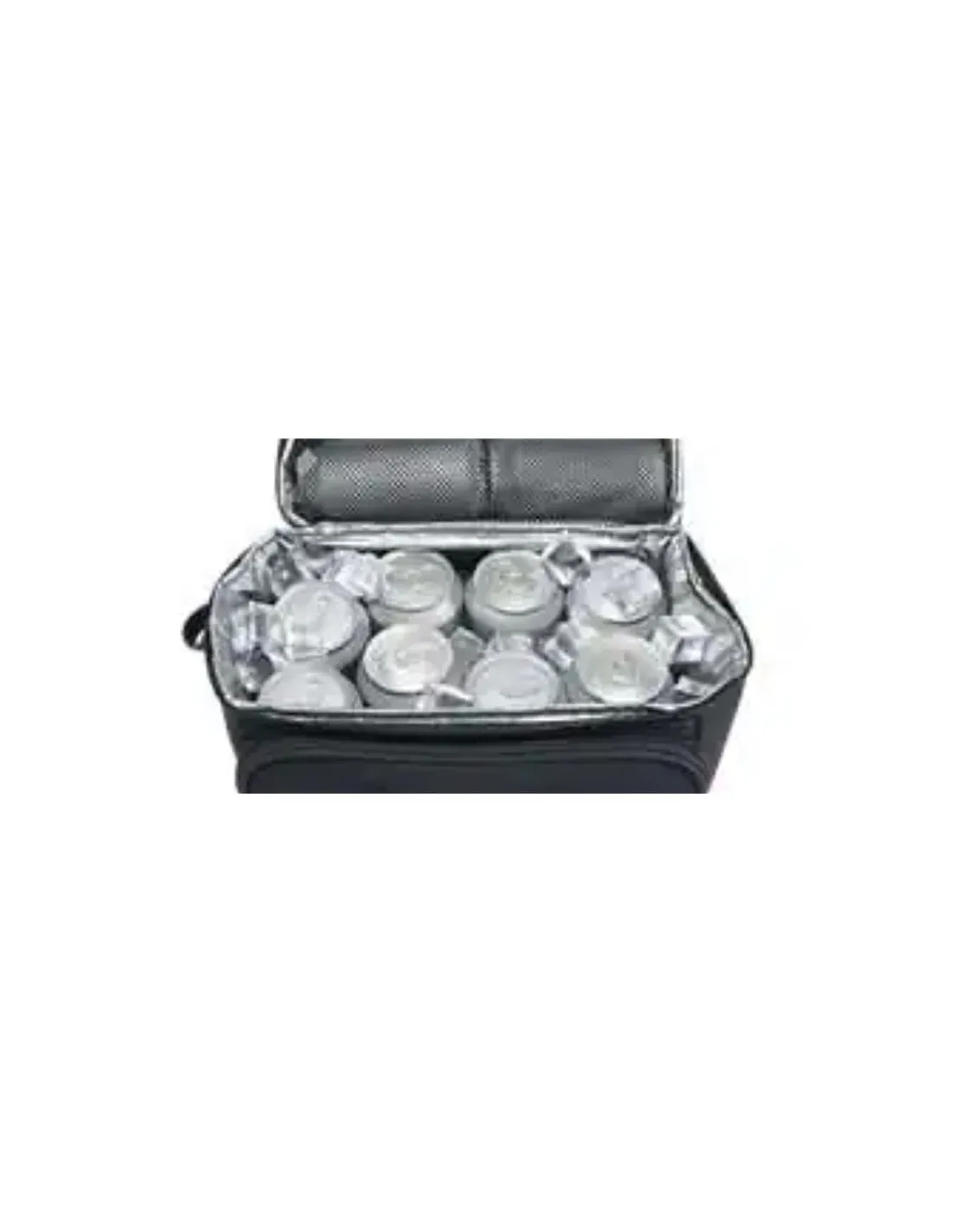 Bolsa para la Comida Carhartt Insulated 12 Can Lunch Cooler Hombre Negro