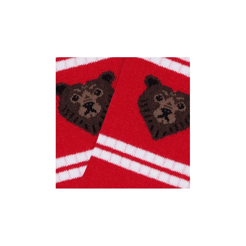 Calcetines Jimmy Lion Athletic Bear Para Niños