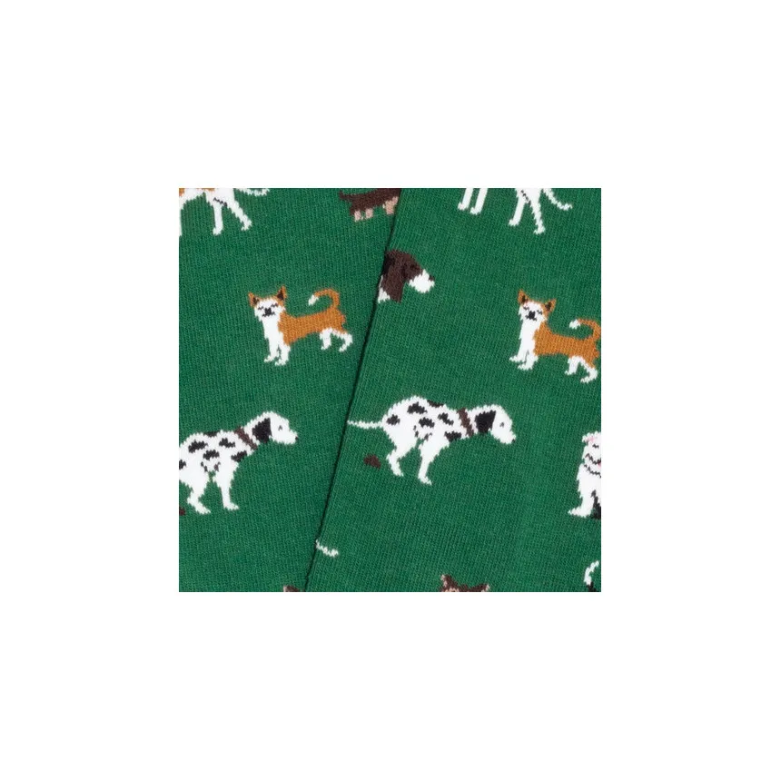 Calcetines Jimmy Lion Dogs Para Niños en Verde 