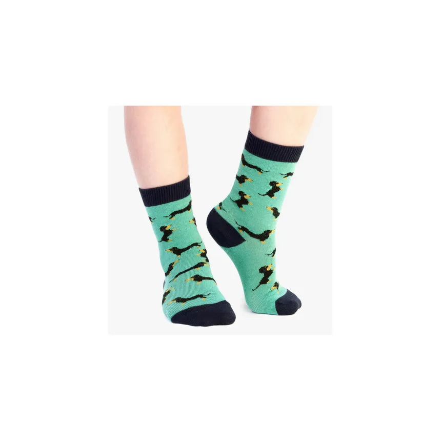 Calcetines Jimmy Lion Kika Para Niños Turquesa 