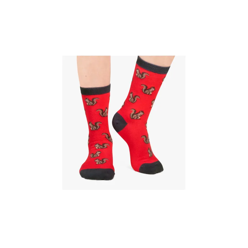 Calcetines Jimmy Lion Squirrels Para Niños en Rojo
