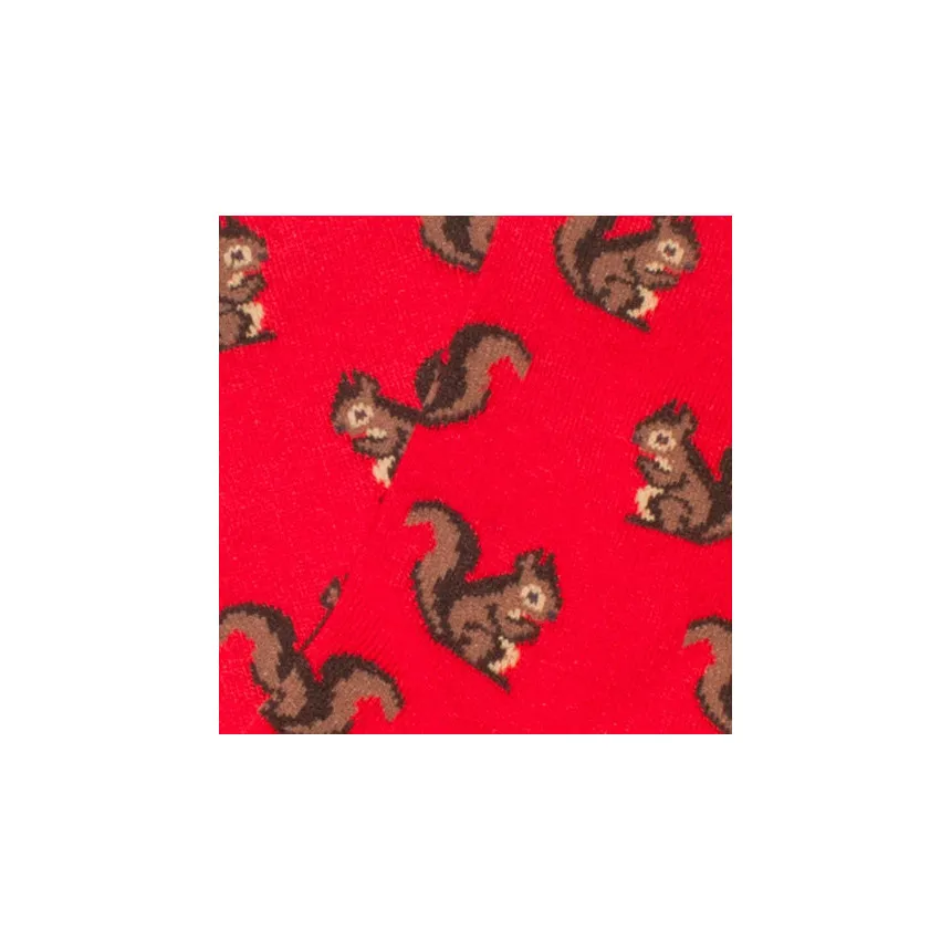 Calcetines Jimmy Lion Squirrels Para Niños en Rojo