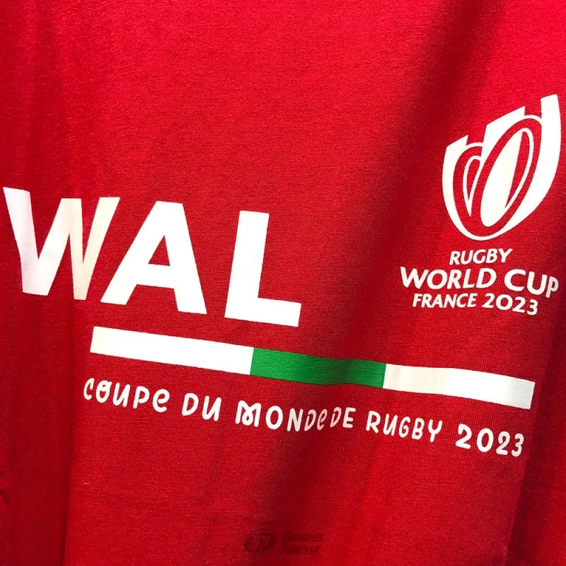 Camiseta Gales supporter RWC