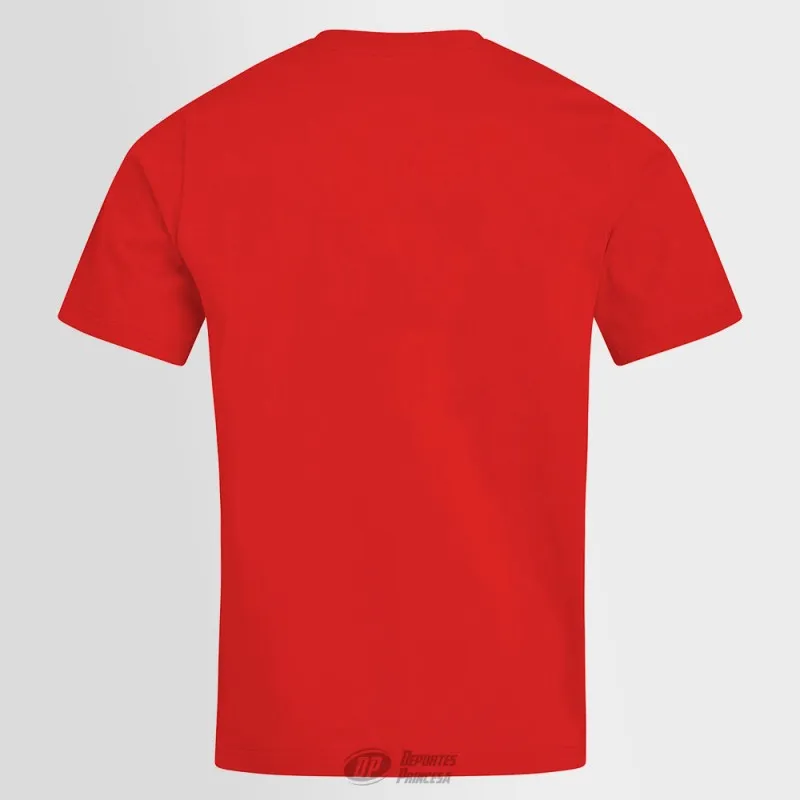 Camiseta Gales supporter RWC