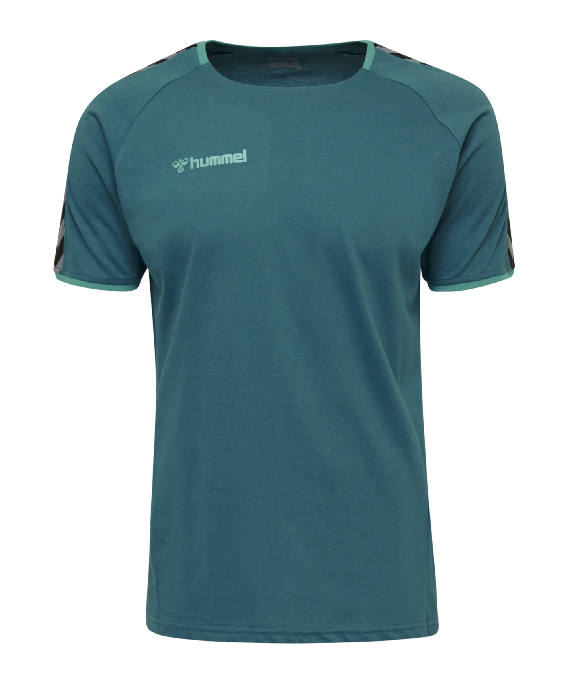 Camiseta Hummel AUTHENTIC TRAINING TEE