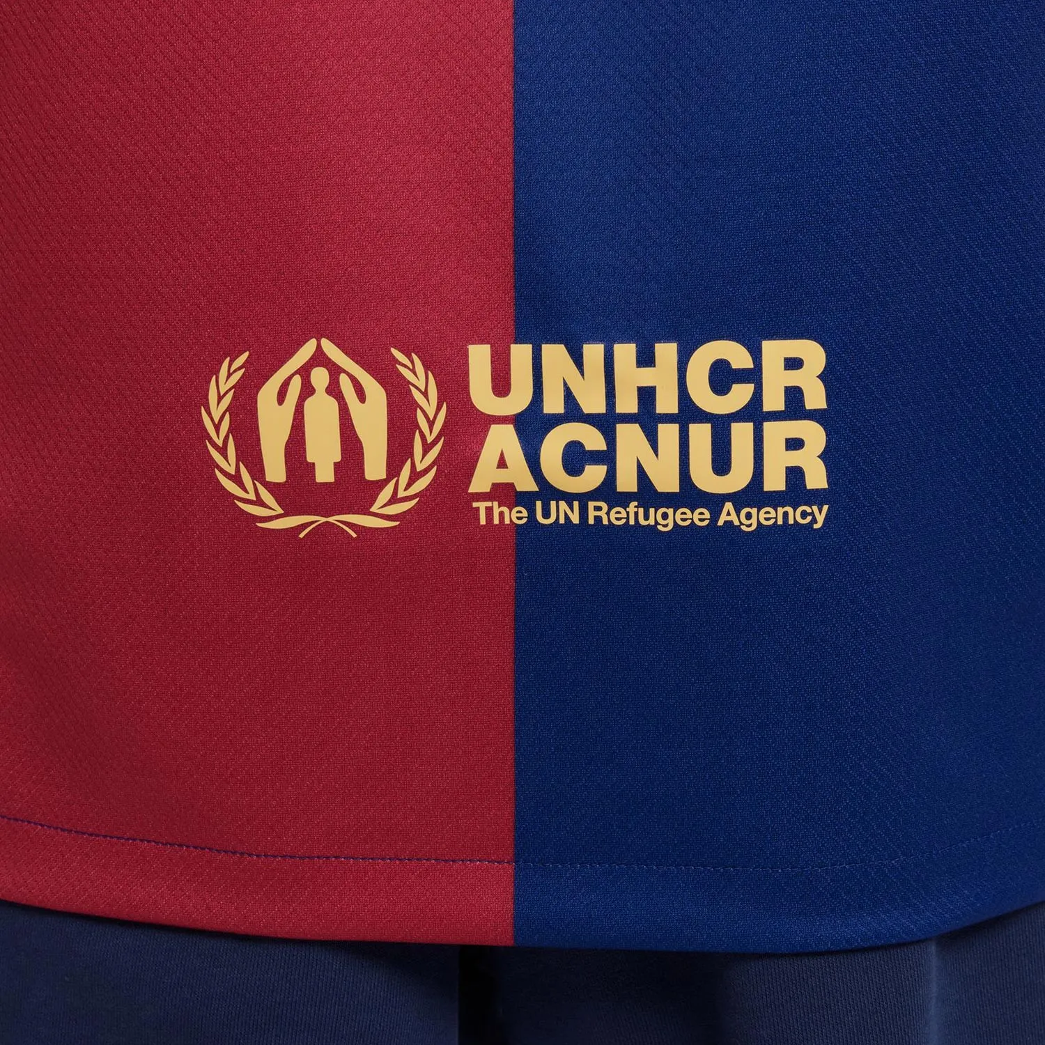 Camiseta Nike Barcelona niño 2024 2025 DF Stadium UCL