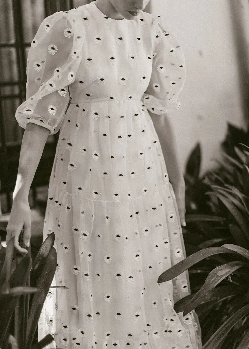 Caterina Estampado