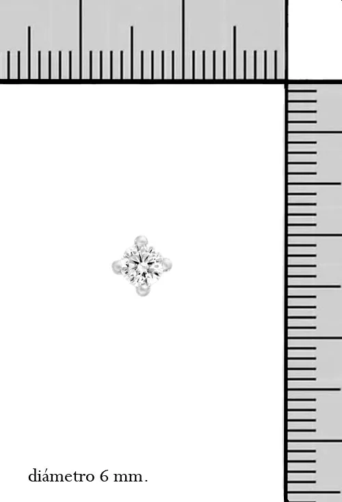 PENDIENTES GARRA ORO BLANCO 18K 234_26396B