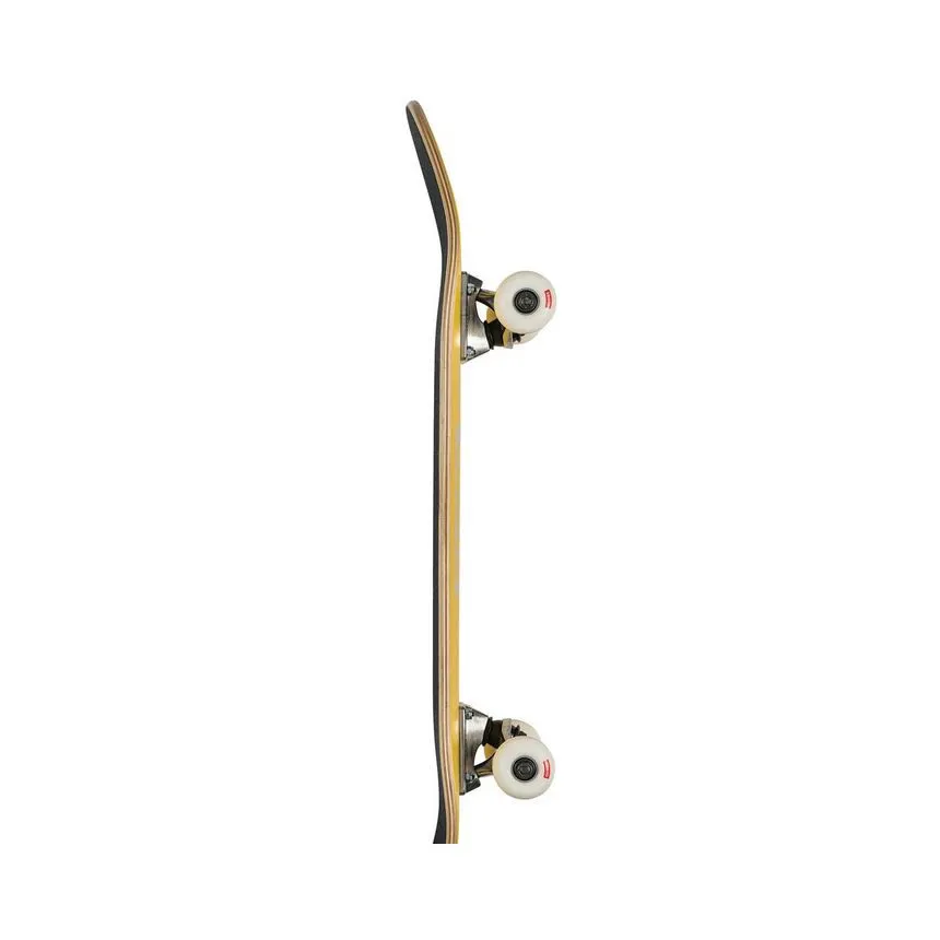 Skate Completo Globe Goodstock Para Niños 7.6"