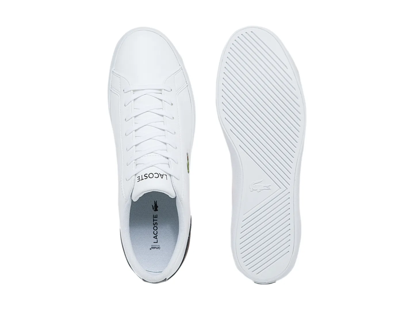 Tenis Lacoste Lerond  Blanco Para Hombre